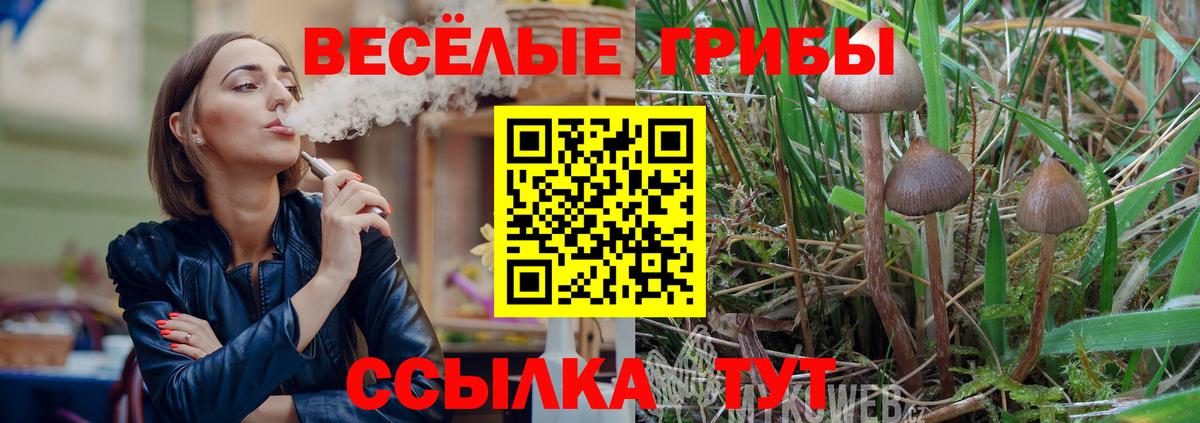 как найти наркотики  Псилоцибиновые грибы Magic Shrooms  Вход с VPN  Галлюциногенные грибы Psilocybine cubensis  Джанкой 